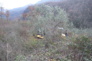 Bonifica terreno con decespugliatrice su braccio miniescavatore 01