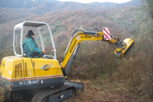 Bonifica terreno con decespugliatrice su braccio miniescavatore 04