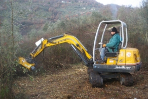 Bonifica terreno con decespugliatrice su braccio miniescavatore 05