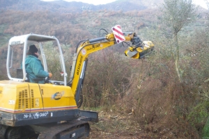 Bonifica terreno con decespugliatrice su braccio miniescavatore 06