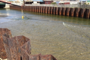 Dragaggio Canale dei pescatori Ostia 07